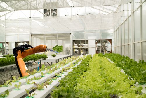 農業將為高科技行業 農業機器人的應用領域